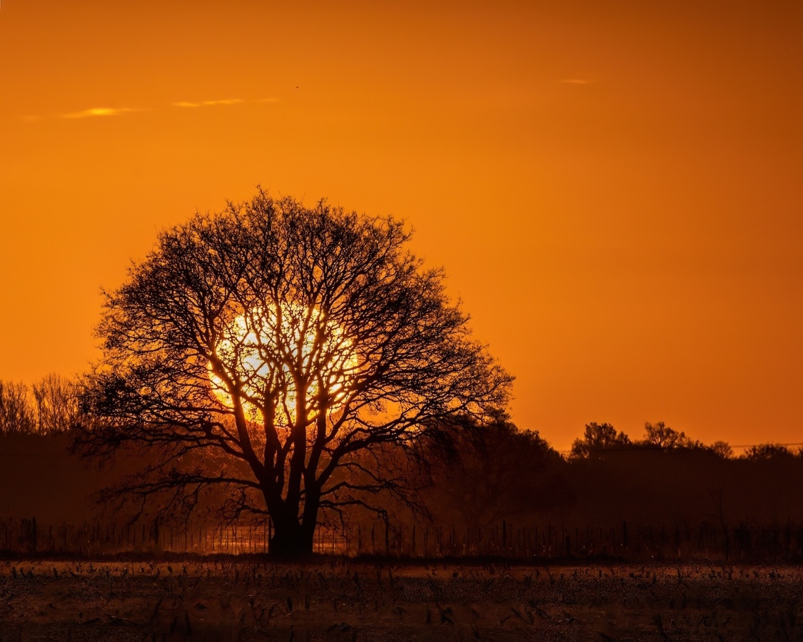 Sunrise Over The Fields - Pat Ainger